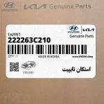 استكان تايپيت (222263C210) کیا