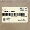 استكان تايپيت (222263C300) کیا