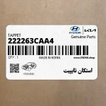 استكان تايپيت (222263CAA4) کیا