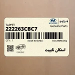 استكان تايپيت (222263CBC7) کیا