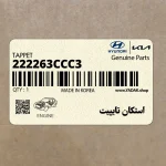 استكان تايپيت (222263CCC3) کیا