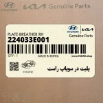 پليت در سوپاپ راست (224033E001) کیا