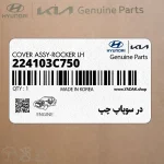 در سوپاپ چپ (224103C750) کیا