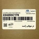در سوپاپ راست (224203C170) کیا