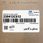 پيستون و گژنپين (230413C612) کیا