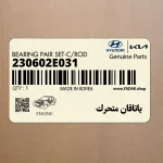ياتاقان متحرك (230602E031) کیا