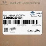 ياتاقان متحرك (230602G131) کیا