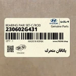 ياتاقان متحرك (230602G431) کیا