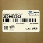 ياتاقان متحرك (230603C202) کیا