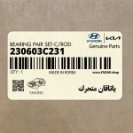 ياتاقان متحرك (230603C231) کیا
