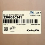 ياتاقان متحرك (230603C241) کیا
