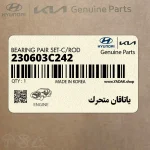 ياتاقان متحرك (230603C242) کیا