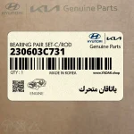 ياتاقان متحرك (230603C731) کیا