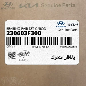 ياتاقان متحرك (230603F300) کیا ياتاقان متحرك (230603F300) کیا