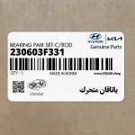 ياتاقان متحرك (230603F331) کیا