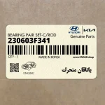 ياتاقان متحرك (230603F341) کیا