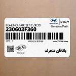 ياتاقان متحرك (230603F360) کیا