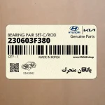 ياتاقان متحرك (230603F380) کیا