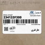 خار فنري (234133F300) کیا