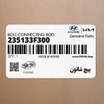 پيچ شاتون (235133F300) کیا