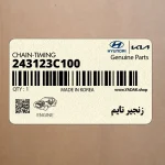 زنجير تايم (243123C100) کیا