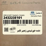 دنده خورشيدي زنجير تايم (243223E101) کیا