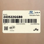 پولكي (243522GGB0) کیا