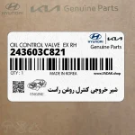 شير خروجي كنترل روغن راست (243603C821) کیا