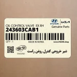 شير خروجي كنترل روغن راست (243603CAB1) کیا