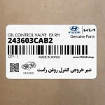 شير خروجي كنترل روغن راست (243603CAB2) کیا