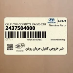 شير خروجي كنترل جريان روغن (2437504000) کیا