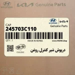 درپوش شير كنترل روغن (245703C110) کیا