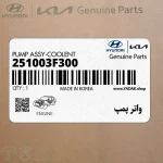 واتر پمپ (251003F300) کیا
