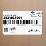 رادياتور كامل (253103F001) کیا