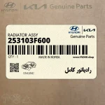 رادياتور كامل (253103F600) کیا
