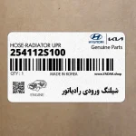 شيلنگ ورودي رادياتور (254112S100) کیا