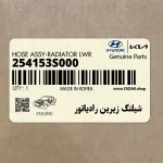 شيلنگ زيرين رادياتور (254153S000) کیا