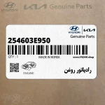 رادياتور روغن (254603E950) کیا