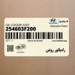 رادياتور روغن (254603F200) کیا