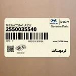 ترموستات (2550035540) کیا