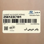واشر خروجي آب (256123C101) کیا