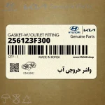 واشر خروجي آب (256123F300) کیا