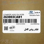 فيلتر روغن كامل (263003CAB1) کیا