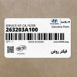 فيلتر روغن (263203A100) کیا