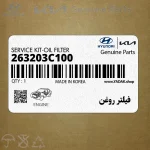 فيلتر روغن (263203C100) کیا