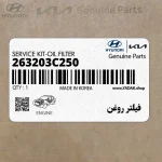 فيلتر روغن (263203C250) کیا