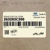 فيلتر روغن (263203C300) کیا