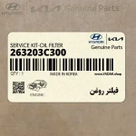 فيلتر روغن (263203C300) کیا