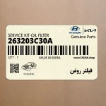 فيلتر روغن (263203C30A) کیا