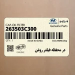 در محفظه فيلتر روغن (263503C300) کیا